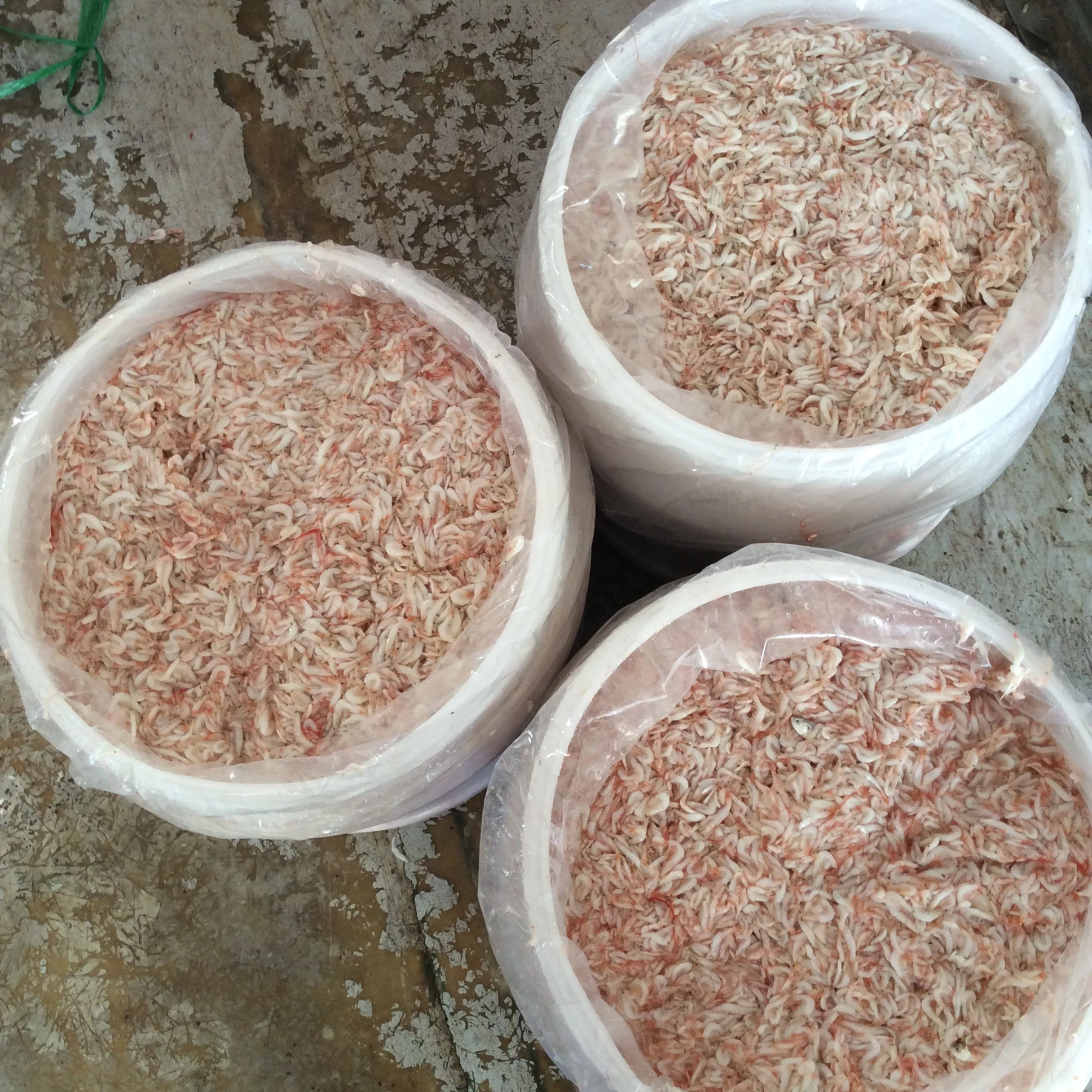 Высококачественные соленые креветки из Вьетнама/мс. Лима + 84