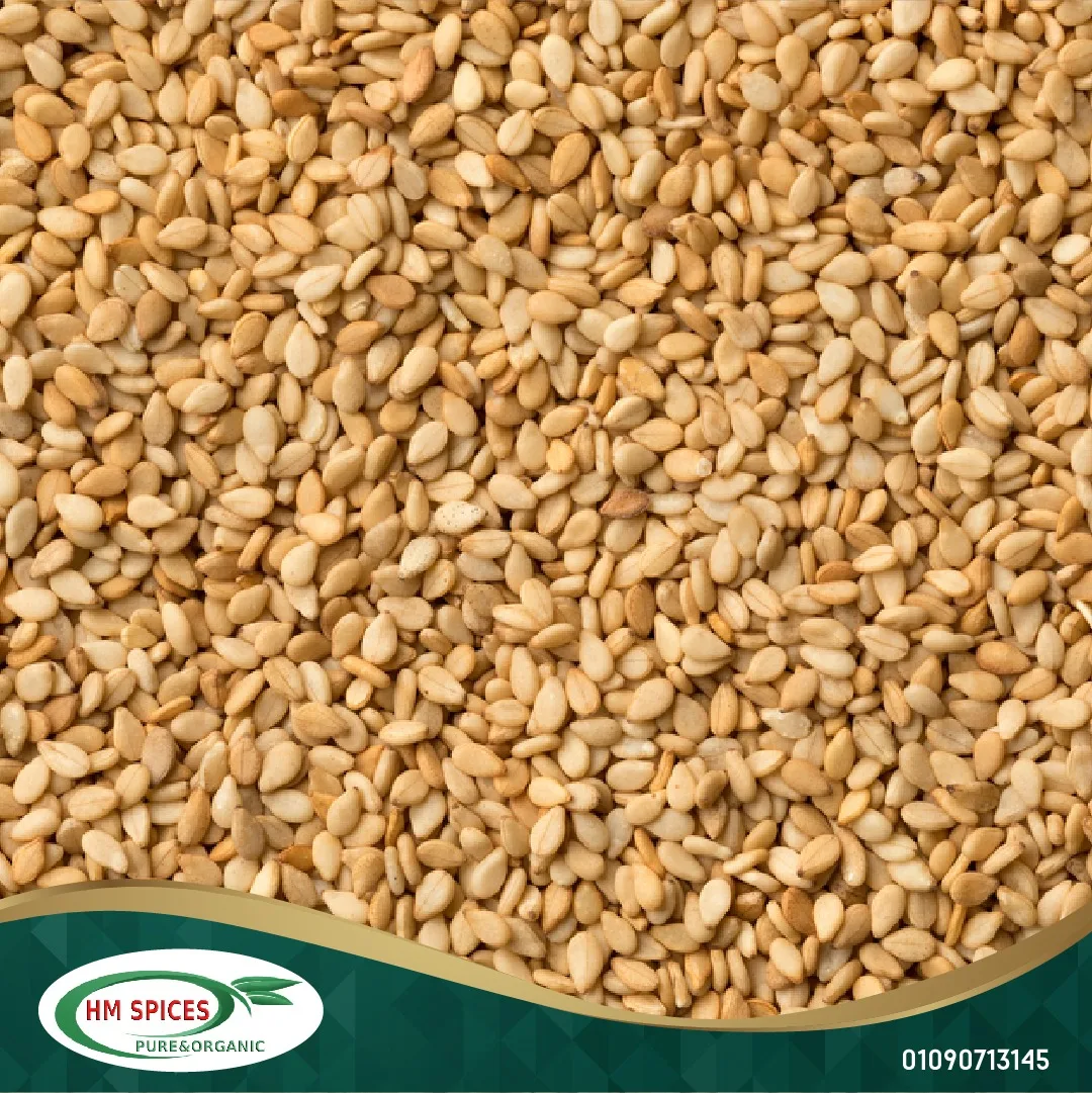 EGYPTIAN Golden Sesame Seeds SORTEX QUALITY 99.9 % 2022