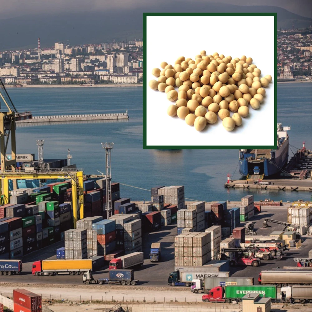 Premium quality yellow peas  15/25/50 kg bags or in bulk, from manufacturer