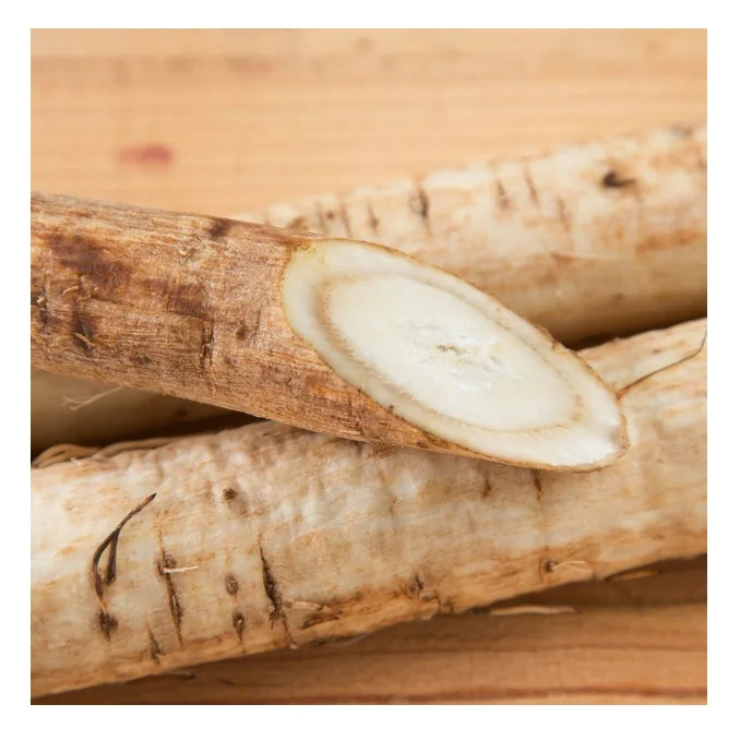 High Quality Fresh Burdock Vegetables Available For Sale At Low Price