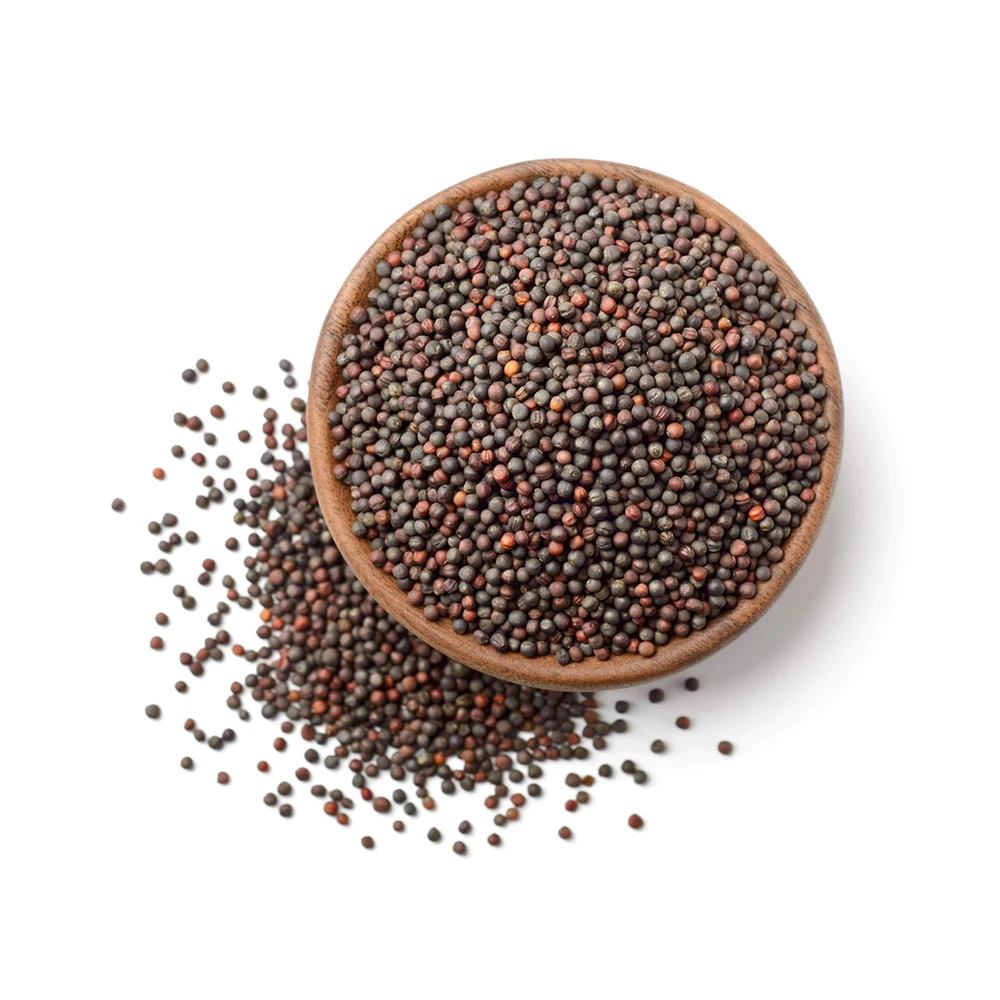 Raw & 100% Pure Rapeseed Seeds Top Best Quality Product Widely Used Traditional Indian Cuisine