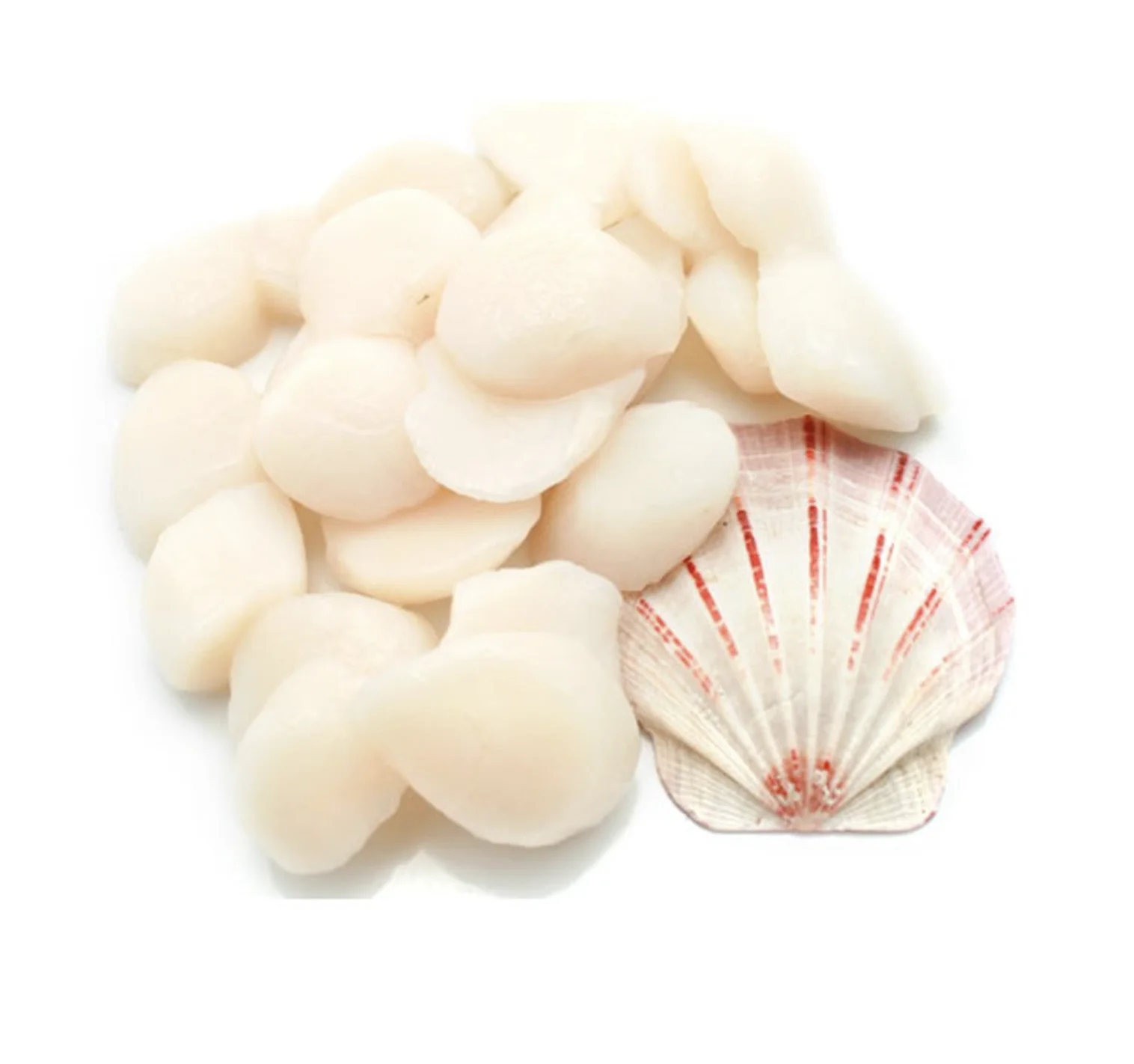 
IQF Frozen Bay Scallop Price of Seafood 