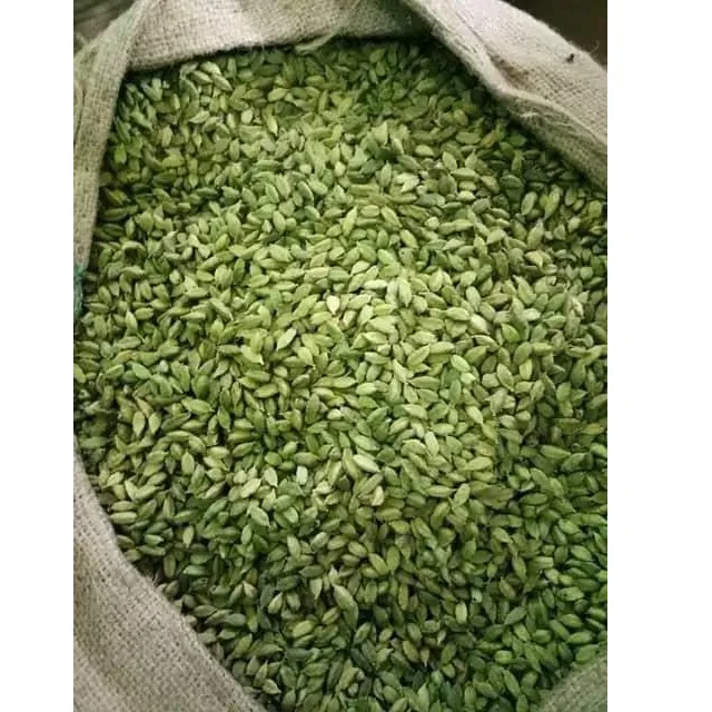 Green Cardamom , Cardamom , Guatemala cardamom wholesale price.