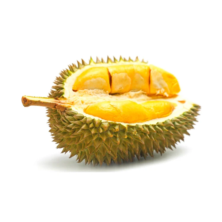 Best Price Super Delicious Soft Creamy Popular Sweet D197 Durian Musang King With Light Yellow Meat From Malaysia