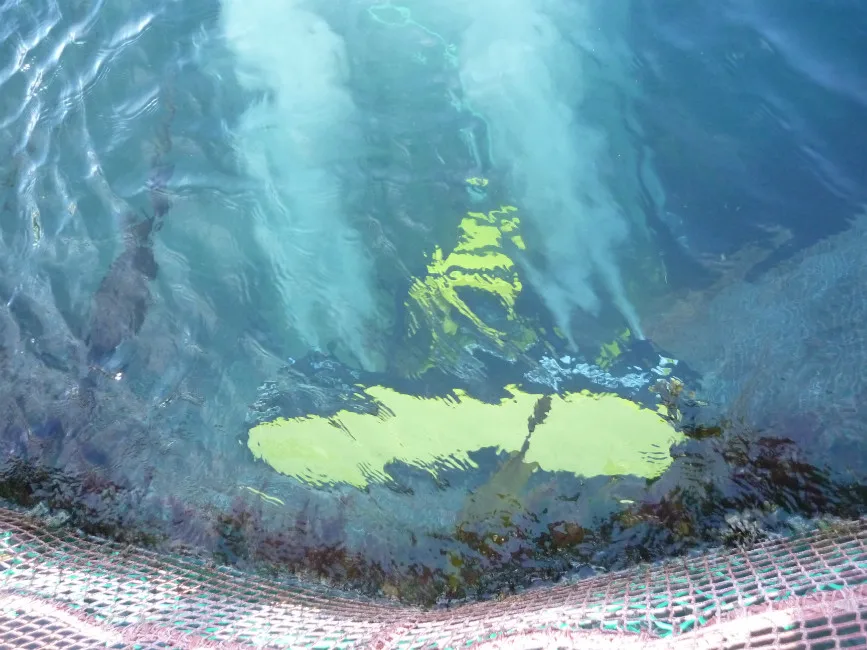 300Bar 300L/M Diesel driven underwater blasting water jet high pressure cleaning machine