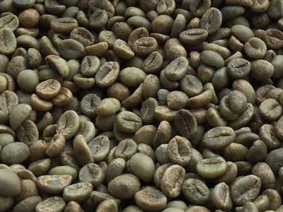  Специальные зеленые кофейные зерна немытые Robusta Cherry AAA Screen