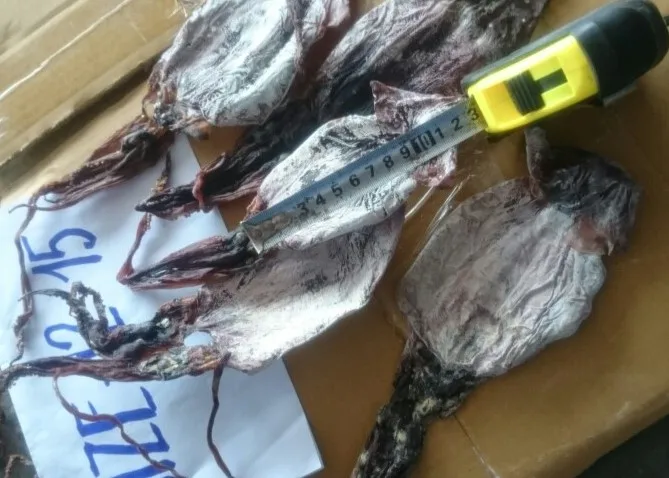 
HIGH QUALITY - DRIED BLACK SQUID 