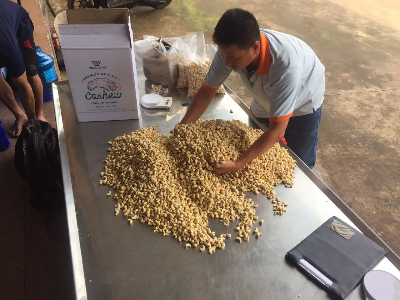 Стандартная Лучшая цена необработанные орехи кешью готов к отправке по всему миру хорошей цене