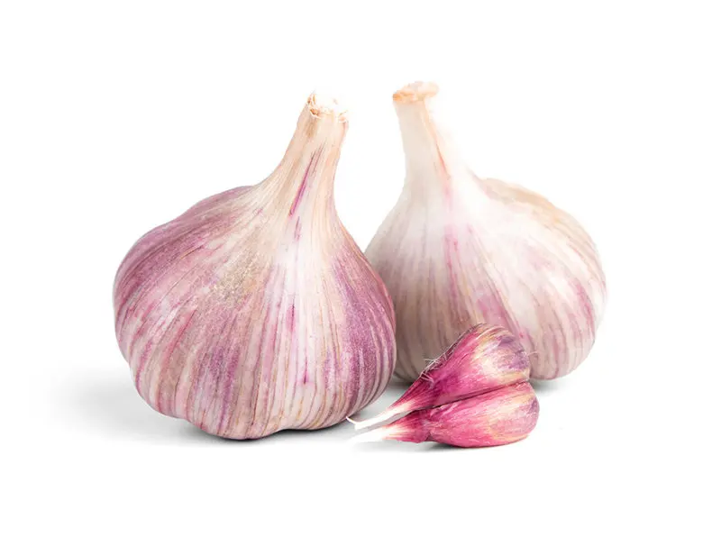 Fresh Garlic Price Bulk Garlic for Sale Garlic from China Factory Pure White Style Packing Organic Weight Origin Type Size Rough