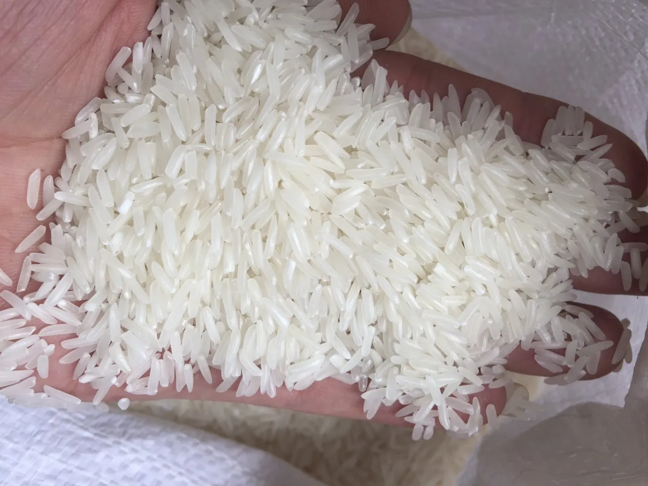 Vietnam Rice/ Fragrant Rice ST25 Broken 5%