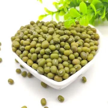 Wholesale Premium Agroculture Organic Dried Mung Bean Sprouts Green Beans