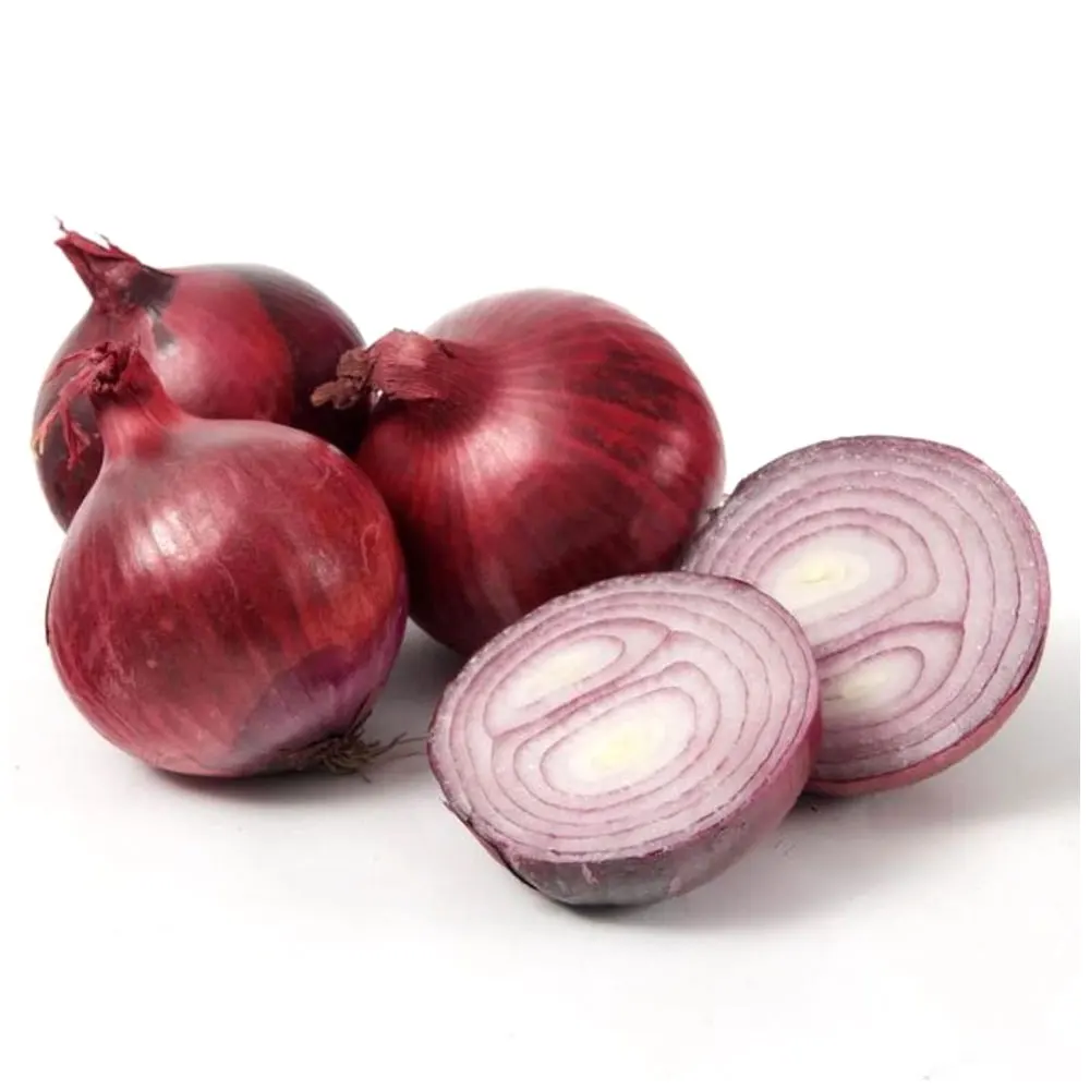 Hot Sale Factory Direct Supply Cheap Price Pakistan Best Made Fresh Vegetable Red Onion / Fresh Red Onions Export Quality