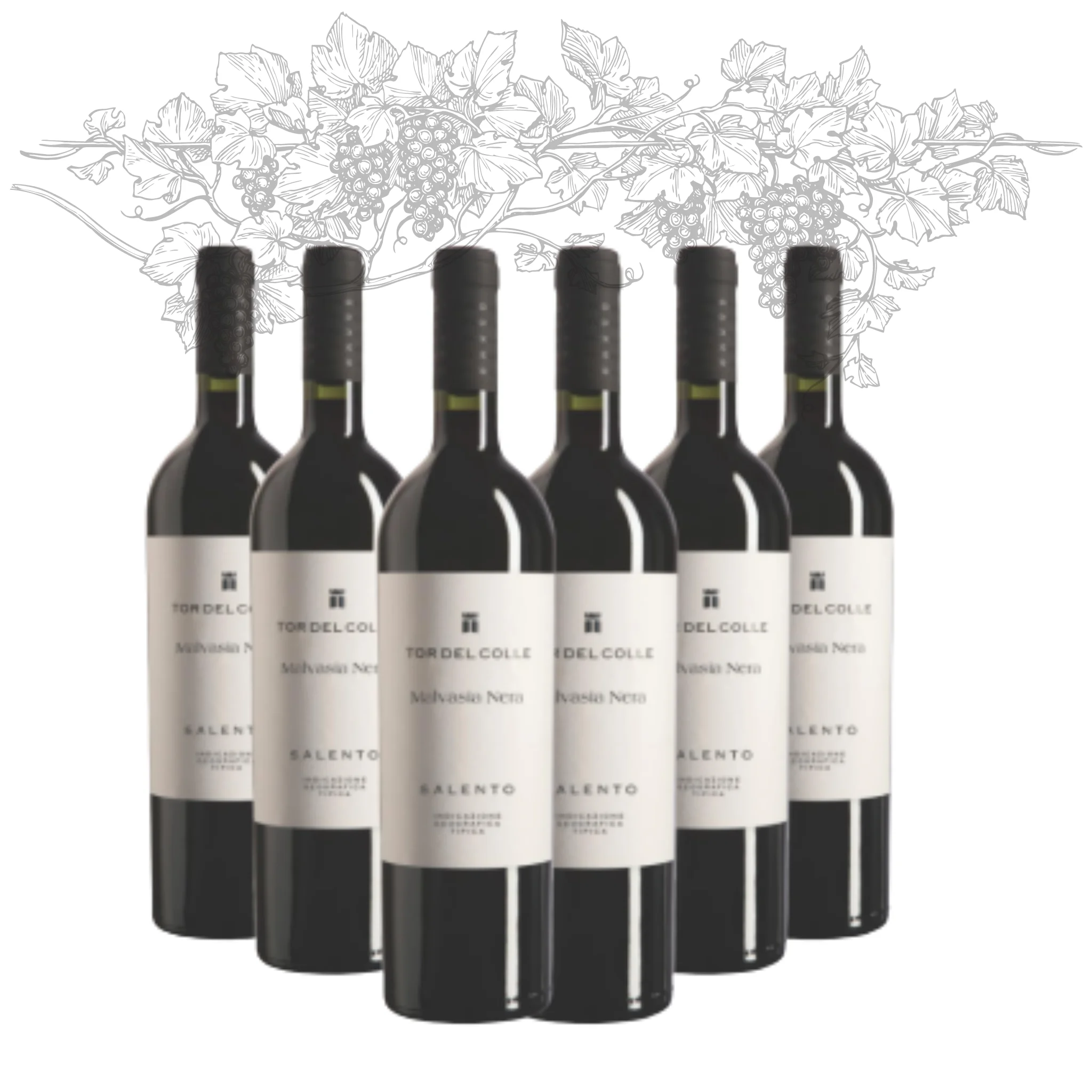 Premium Italian Red Wine - Malvasia Nera Salento IGT Tor del Colle - bottles 750 ml alcohol 14.5% for export