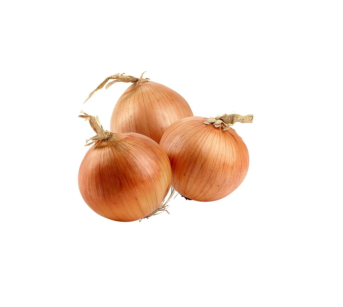 Vegetable Russian Packing Fresh Onions In Bulk For Export High Quality Low Price From Russian Seller