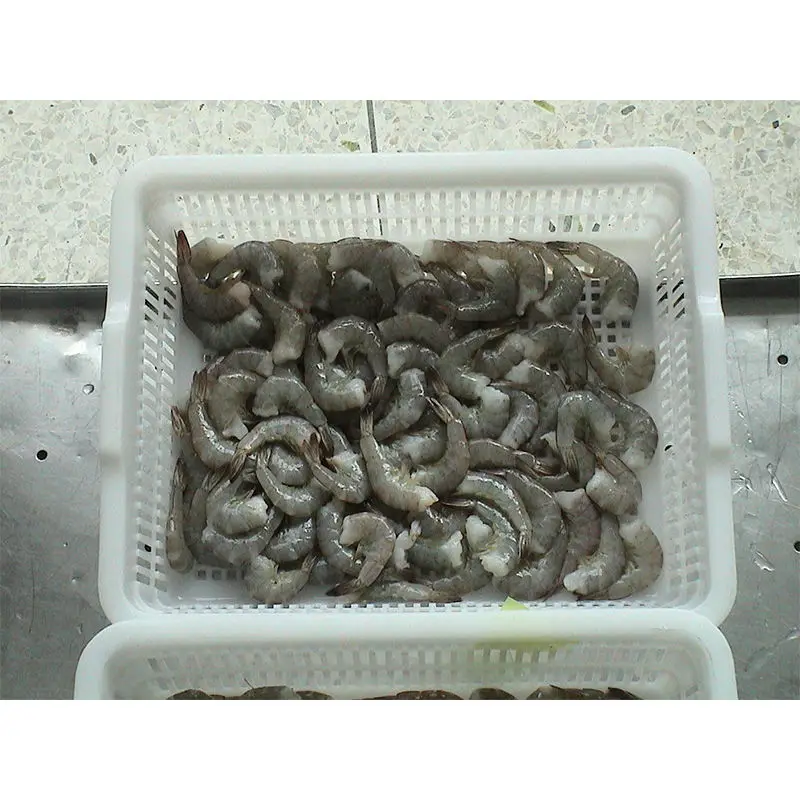 Fresh Frozen Shrimps