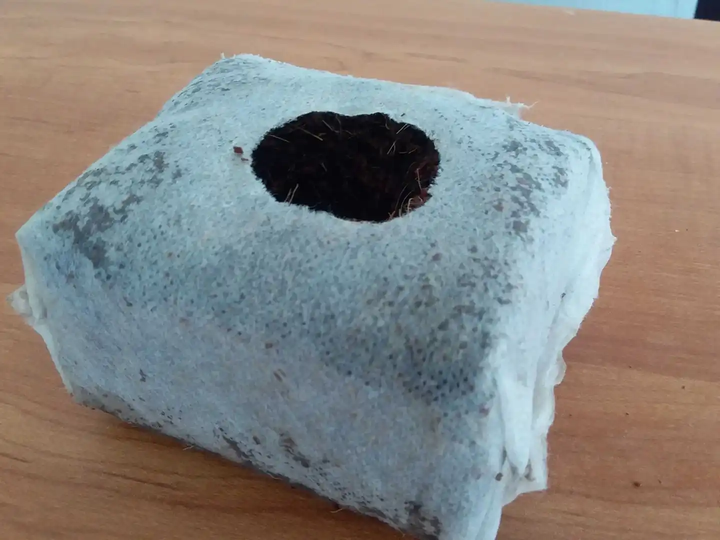 HIGH QUALITY Coco starter cubes Vendor Supply Natural Coir Pith Bricks 10-15% Moisture Coco Peat Block