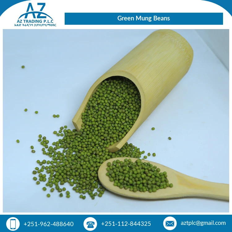 Premium Quality Wholesale Supply Best Selling Natural Fresh Ethiopian Green Mug Beans at Best Price