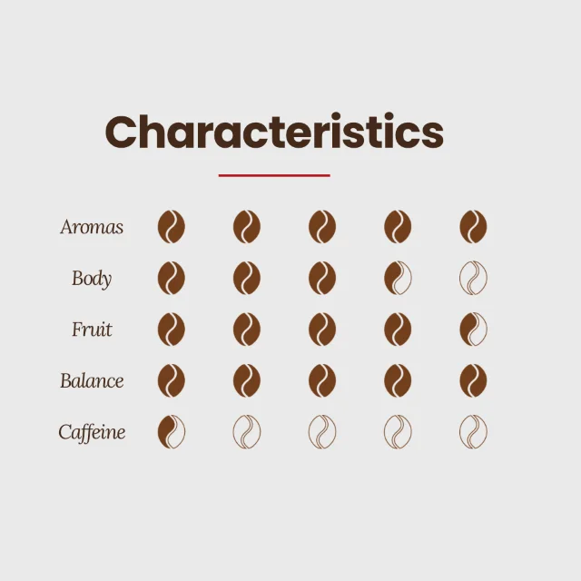 PRIVATE LABEL Premium quality Organic 100% Arabica made in Italy ground coffee moka 250g for retail