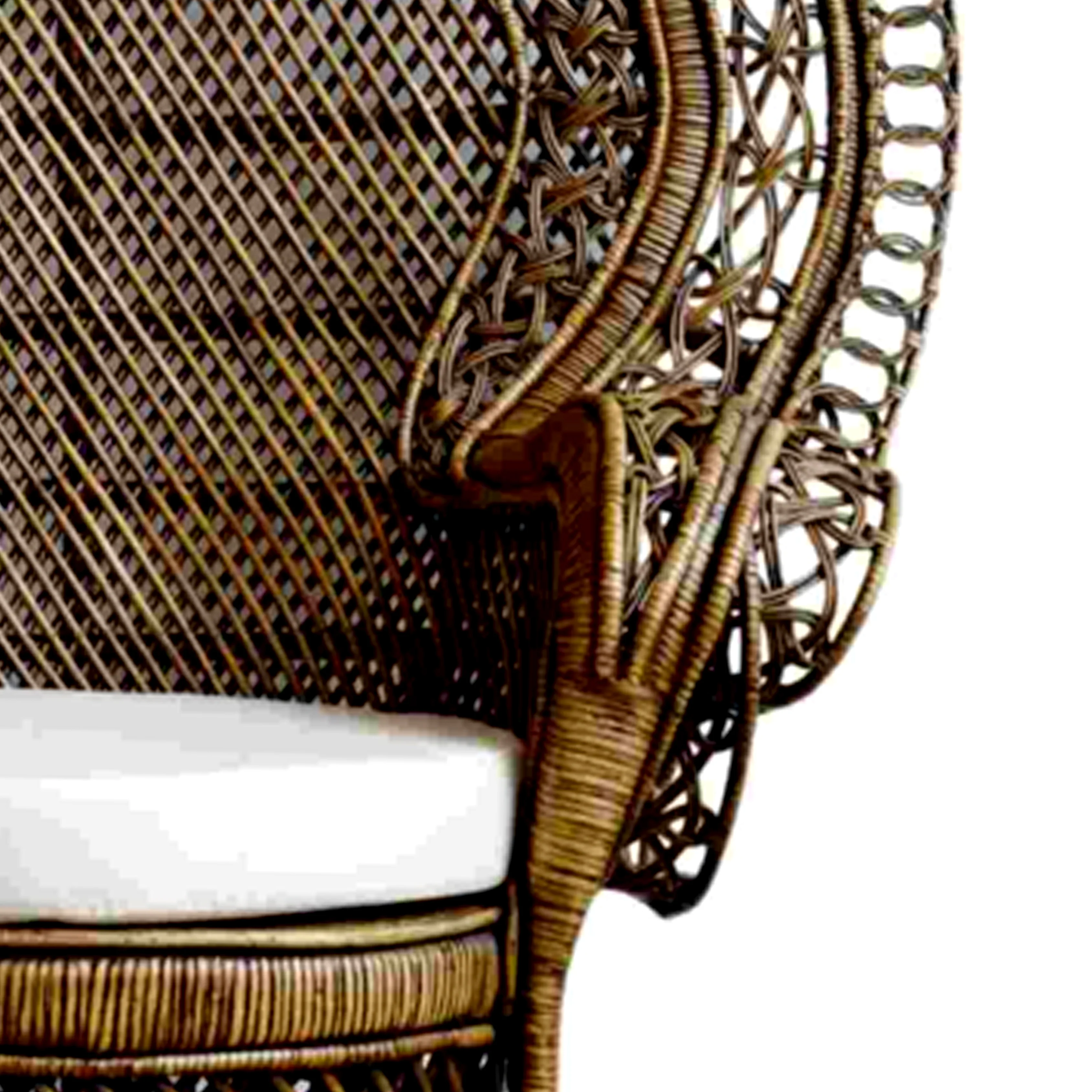 
Best Price Ekata Peacock Rattan Chair Luxury Shape with Strong Brown For Living Room Furniture 