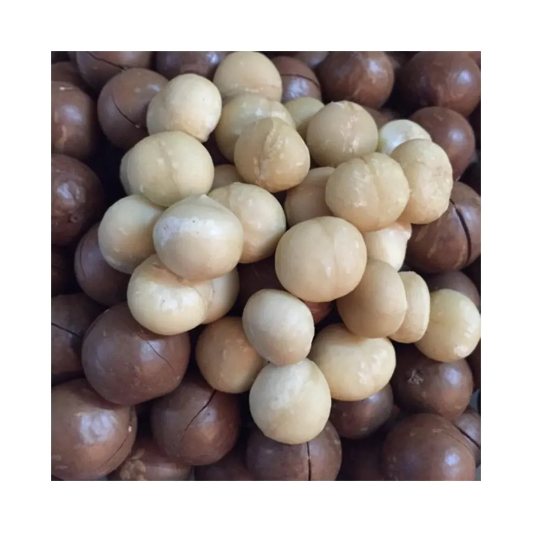 Высококачественные жареные орехи макадамии из Вьетнама 2021