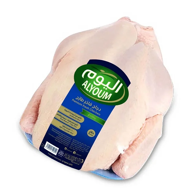 Bulk Top Quality Halal Frozen Whole Chicken Brazil Top Graded