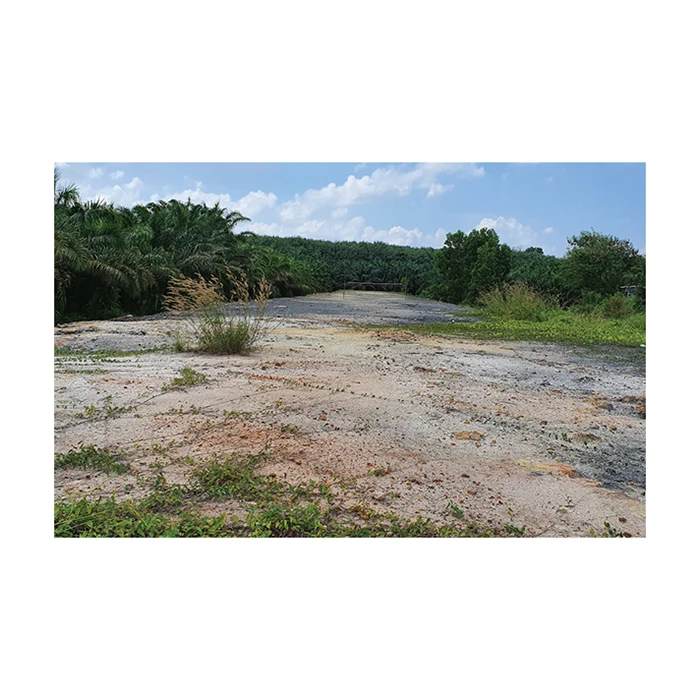 Land for Sale  Wiang Sa District  Surat Thani Thailand