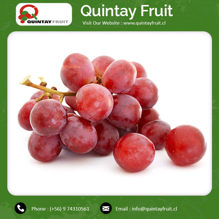 Discount Offer On Fresh Fruit Natural Sweet Red Grapes Red Globe Seeded Grapes Buy At Best Price