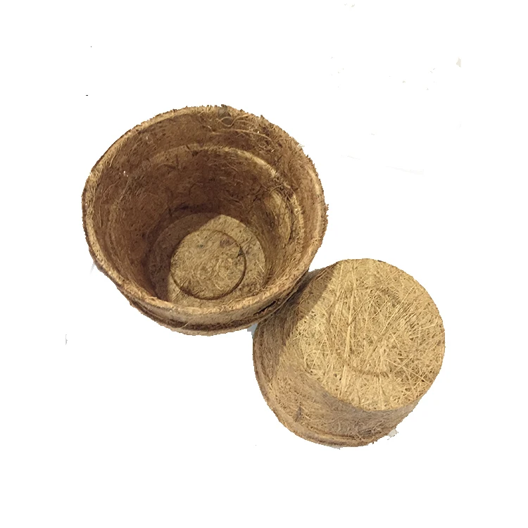 Coconut Coir Pot