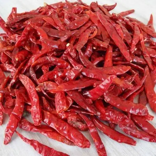 Indian Guntur Chilli exporter