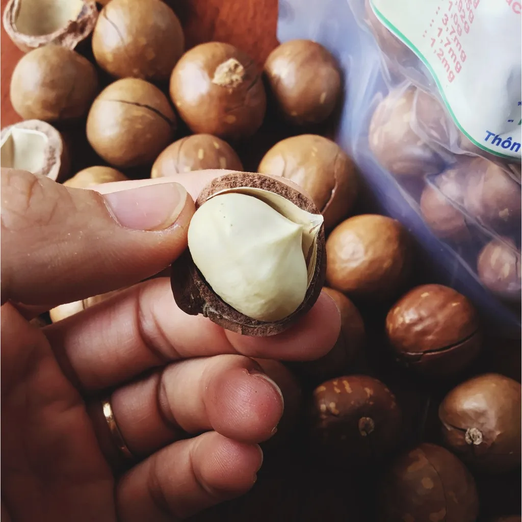 Macadamia nuts 250gr wholesale Made in Vietnam