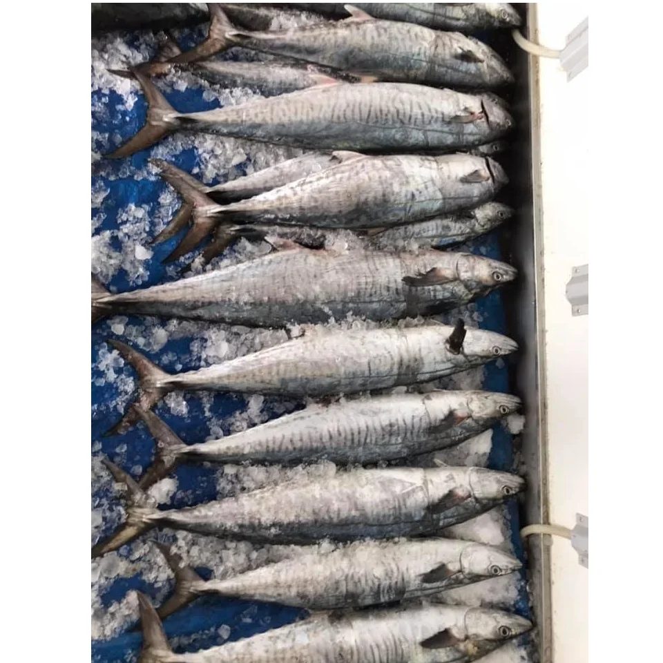 Хит продаж 2021 свежие натуральные морепродукты фирменная торговая марка пищевая нарезанная жареная скумбрия для приготовления пищи во Вьетнаме