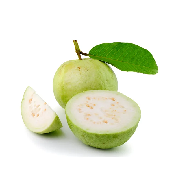 Rich And Tasty In High Demand Fresh Fruit Guava With Low Price