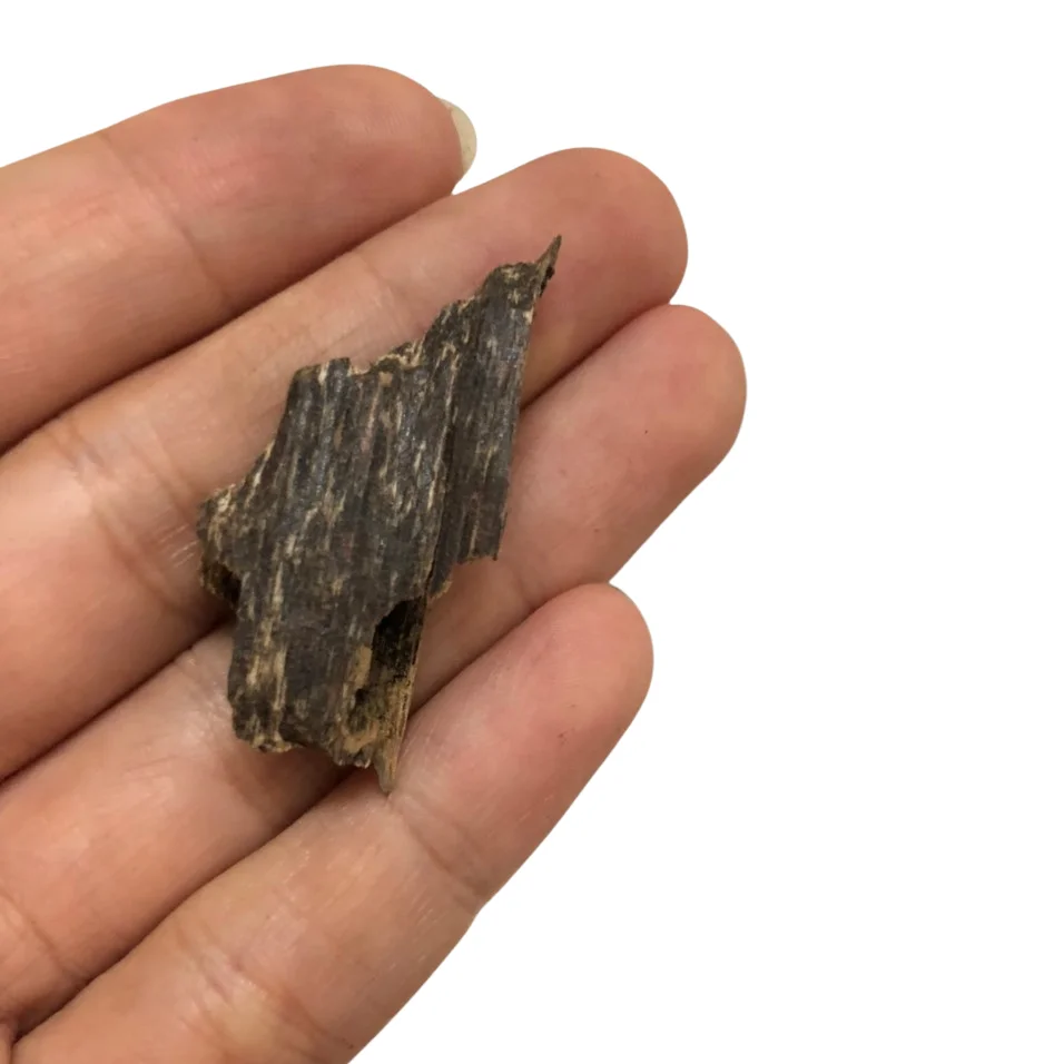 TRIPLE SUPER MOREY OUD FROM 100% PURE OUD VIETNAM OUD - STRONG SWEET MOREY
