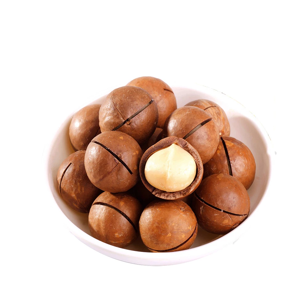 Wholesale high quality macca nuts organic macadamia nut dries with medium size Viet Nam manufacturing