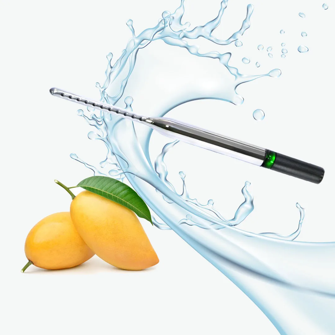 portable o3 generator M21