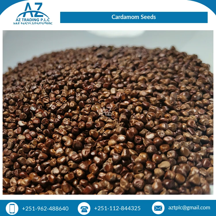 Natural Pure Organic Cardamom Seeds Dried Black Single Herbs & Spices Bulk Selling with 12% Max Moisture Granule Shape