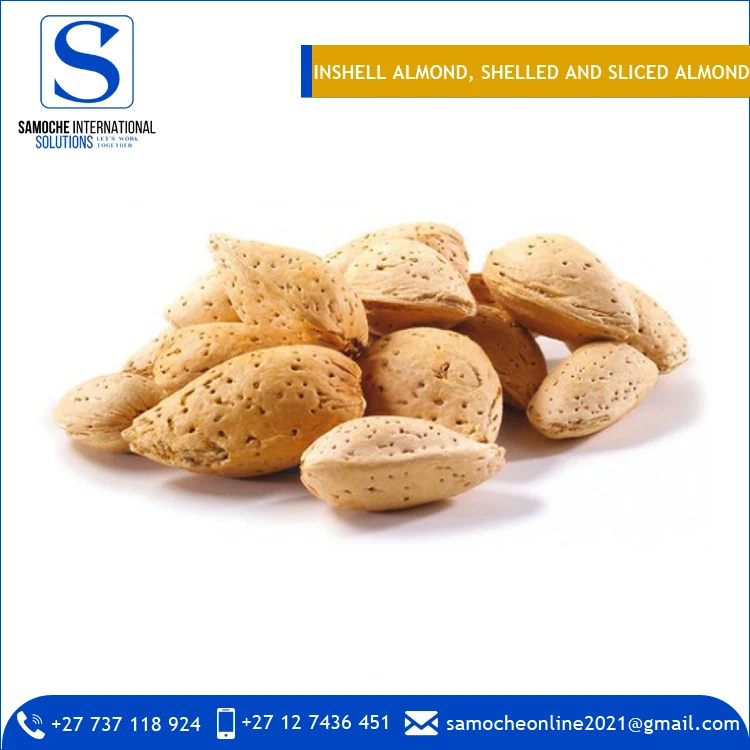 Premium Quality Wholesale Natural Inshell Almond, Shelled Almond, Sliced Almond