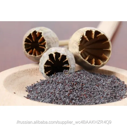 Китайский Синий Маковый