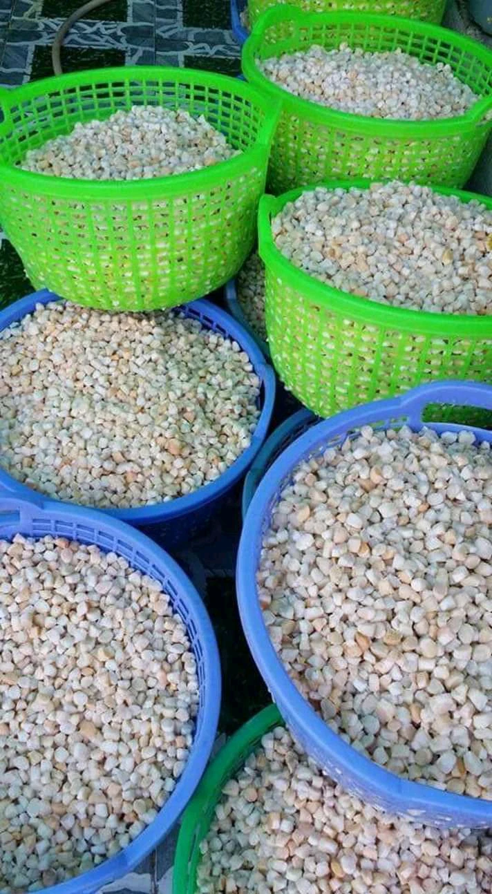 Dried Scallop Without Shell With Delicious Taste For Cooking From Vietnam