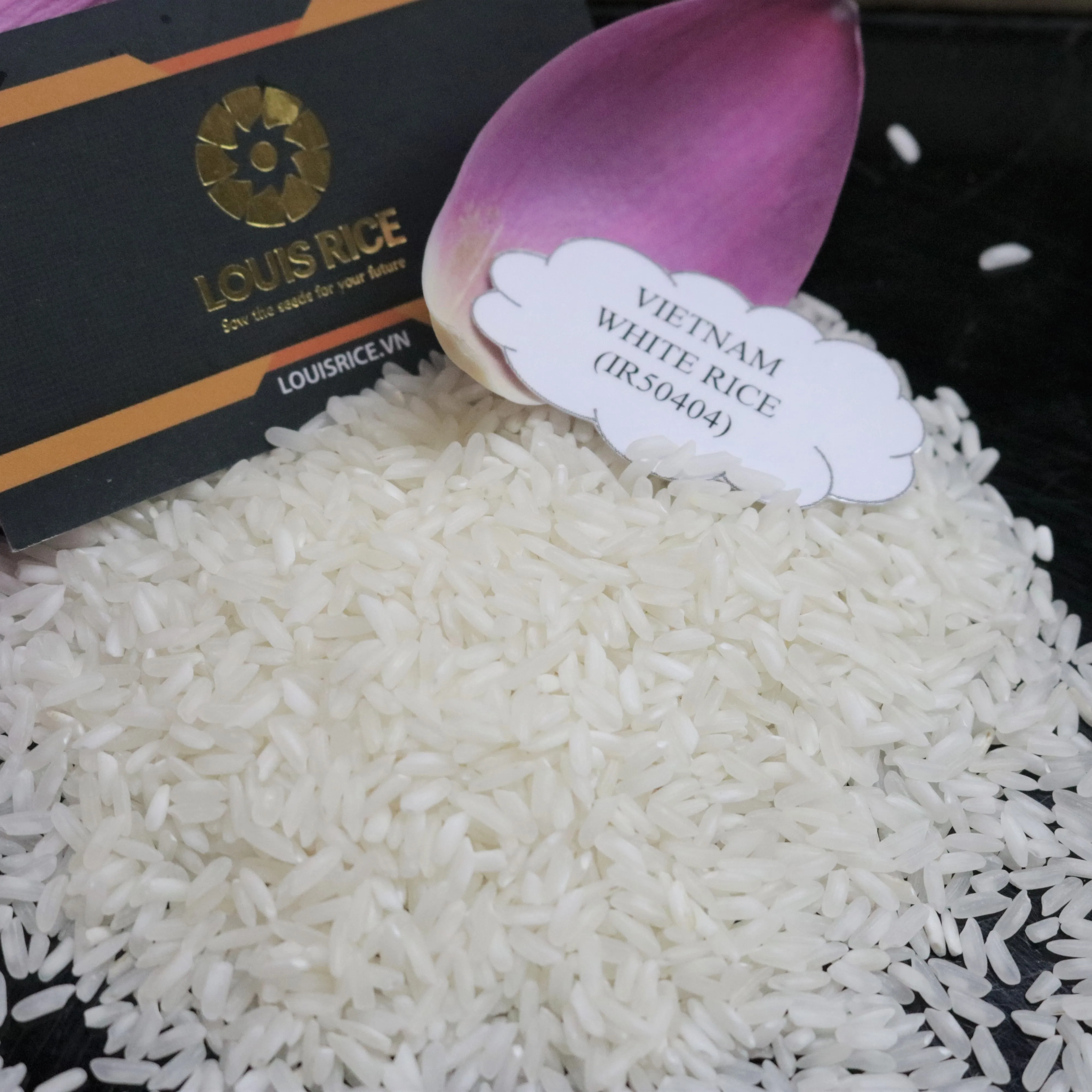 Cheap price vietnam white rice 5% broken MR. WAYNE (Whatsapp: +84909077813)