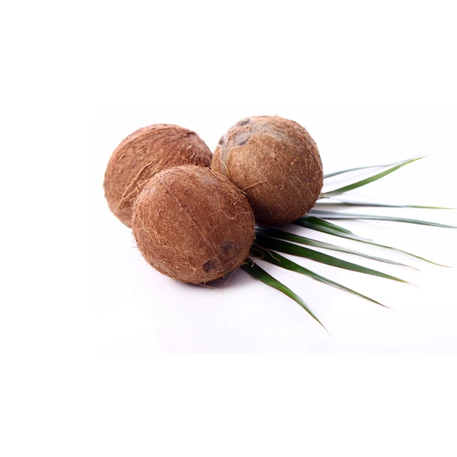 Coconut Semi Husked Mature from Indonesia for Wholesale