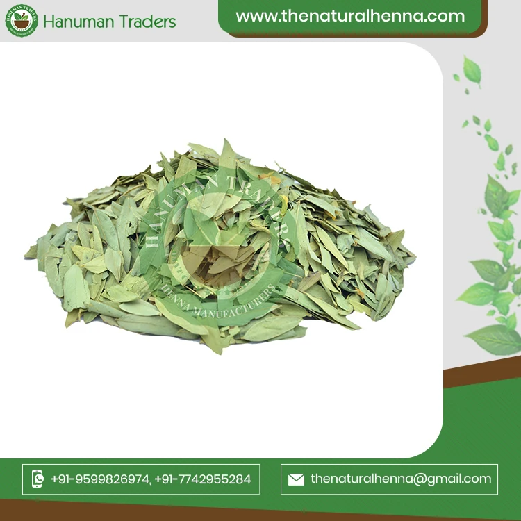 Pure Original Senna Leaves And Pods For Tea Industries Buy From International Exporter From India