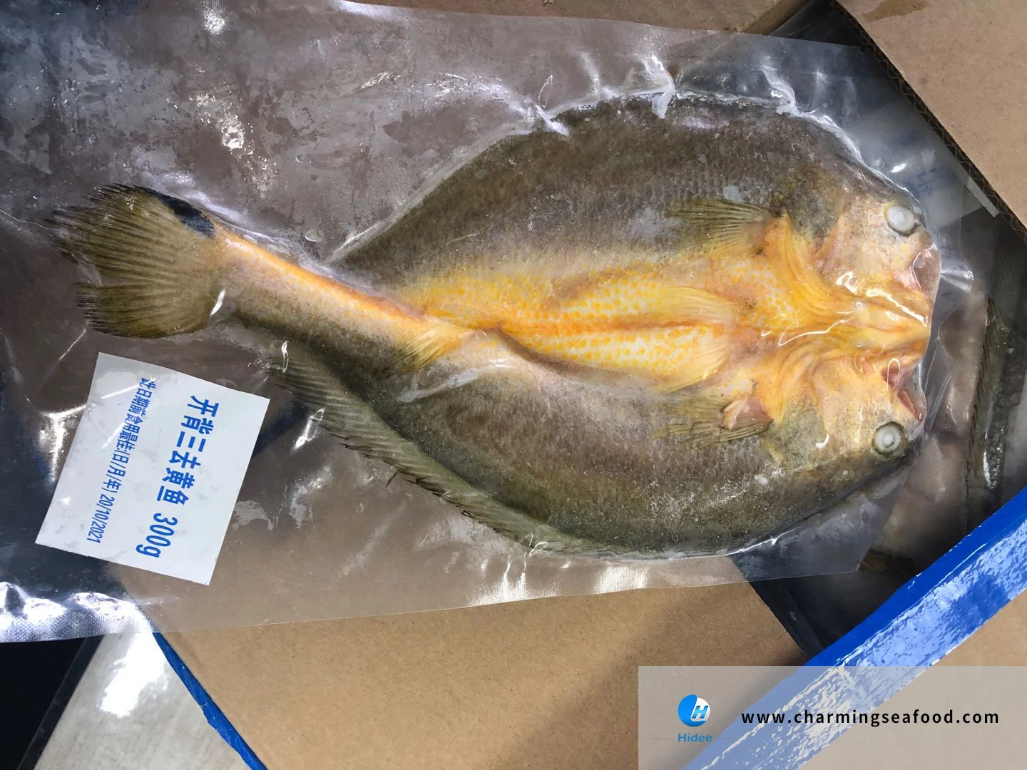 Frozen Whole Round Fish Yellow Croaker Good Price Hidee Sea Bass Farming