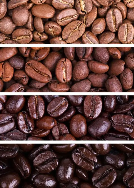  Популярные кофейные зерна robusta во Вьетнаме-оптовая продажа кофейных зерен экспортируется в США ЕС Корею ОАЭ-вьетнамский зеленый