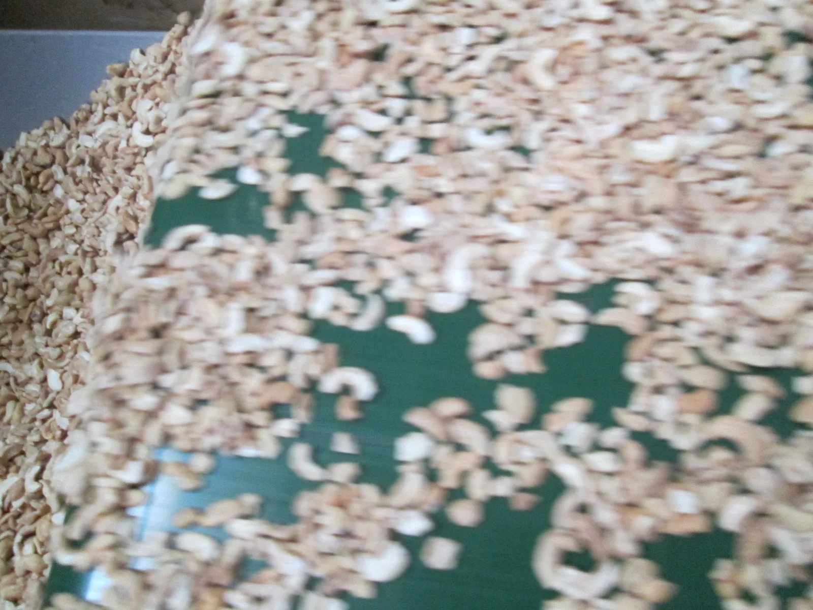 Best choice LP CASHEW NUT GOOD PRICE Visimex good price