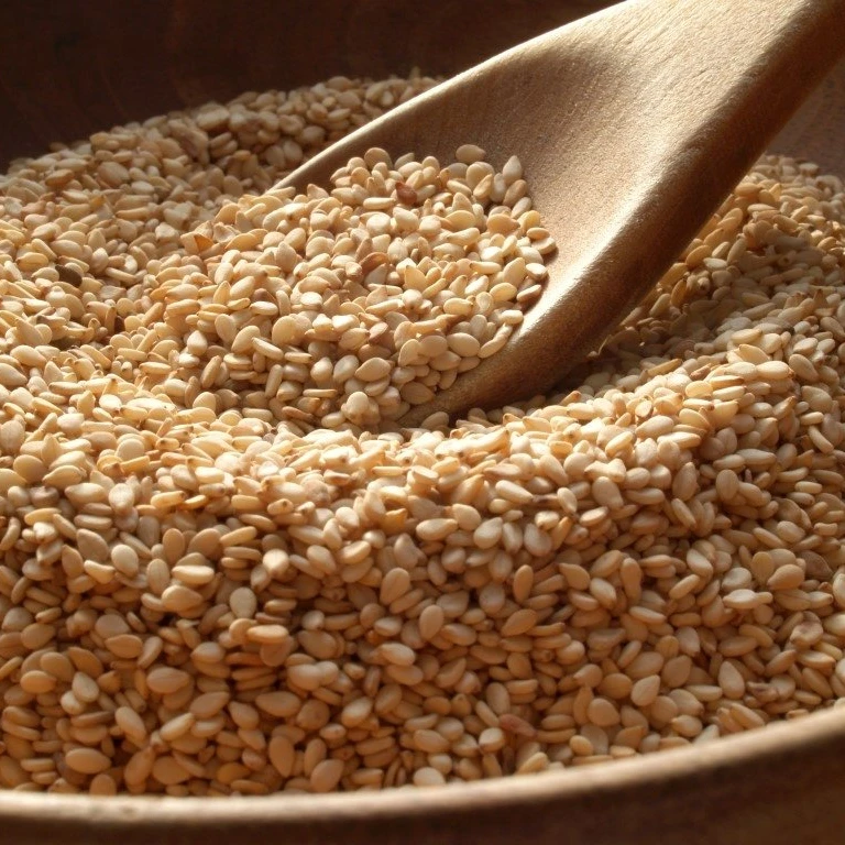 Turkish White Sesame Seeds Best Sesame for Cooking, Halvah and Tahini etc Bulk White Sesame Seeds sesamum