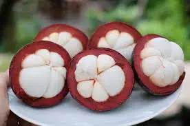 Top quality mangosteen in Vietnam/ Whatsapp : +84 896679047