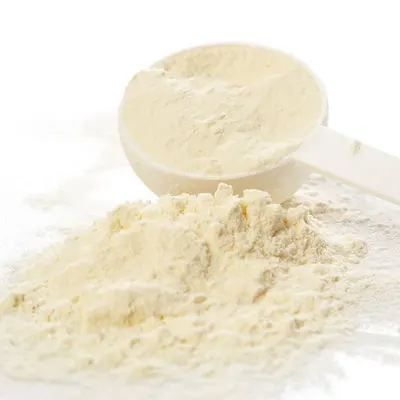 Whey Protein Powder