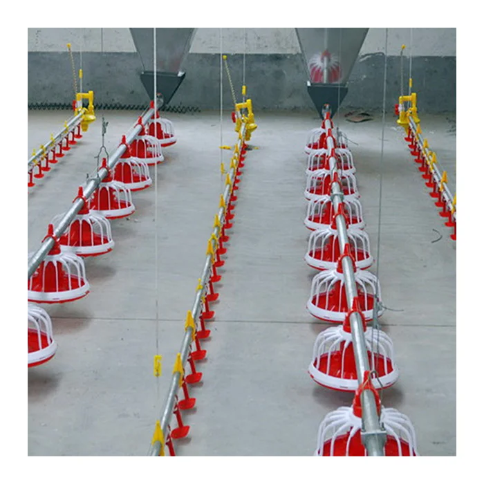 Poultry Automatic Feeder and Drinker China Poultry Farm Chicken Feeding Fully Automatic Feed System 1kg~40kg Provided Durable