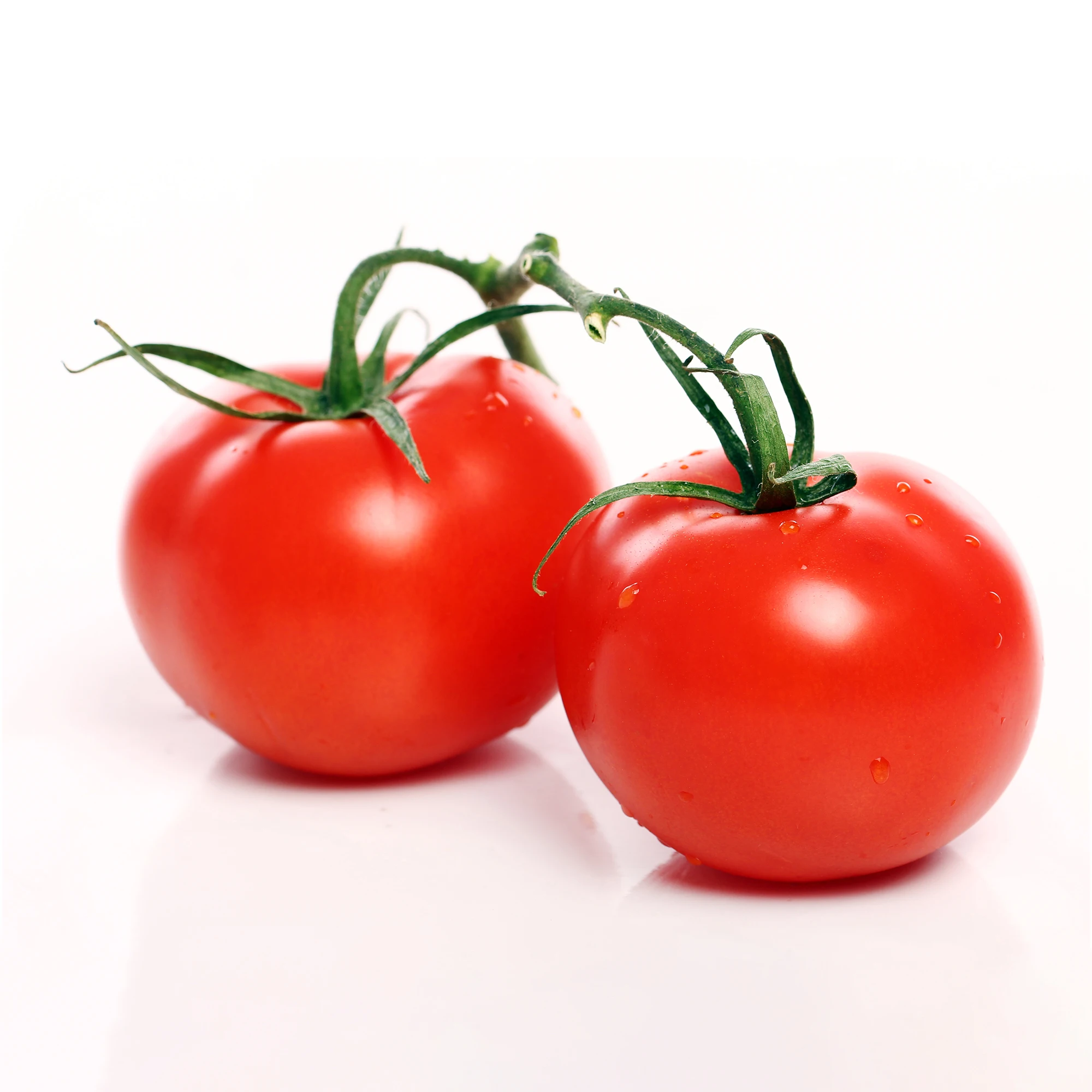 Fresh Tomato with Natural red / Best quality for wholesale / Quick response and cheap price